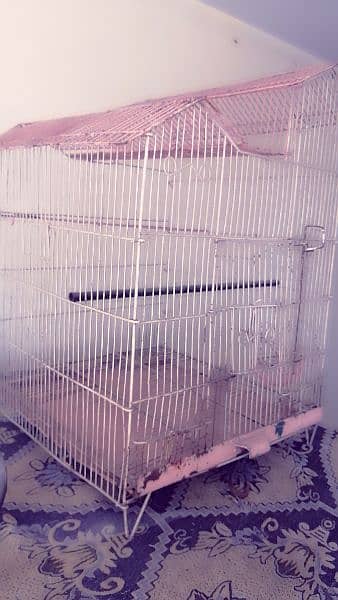 Birds  Cage 2