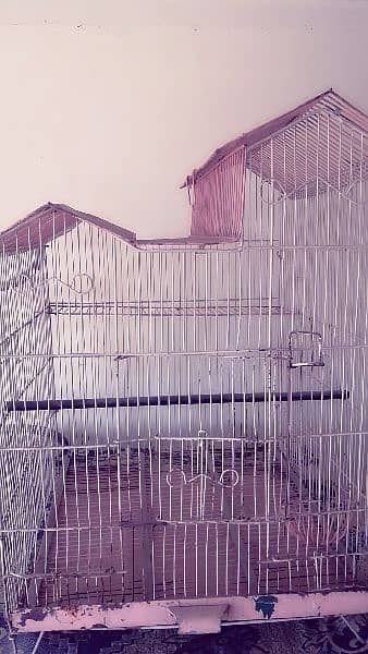 Birds  Cage 3