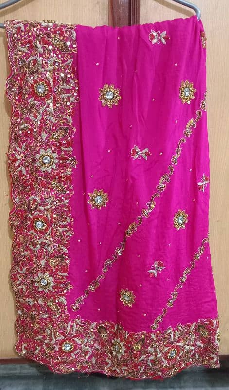 Bridal suit and lehnga 6