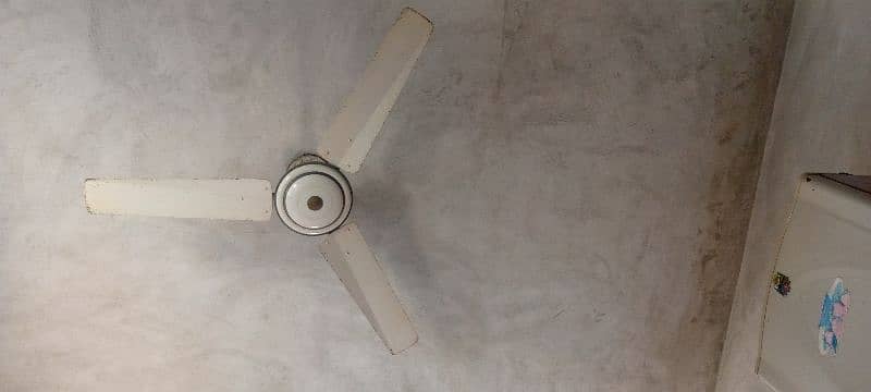 Fan for sale 1