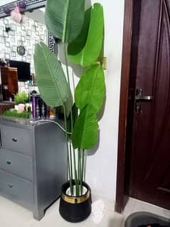 artificial plant