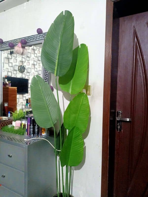 artificial plant 1