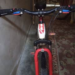 mountain bicycle