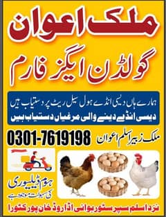 تازہ دیسی انڈے دستیاب ہیں