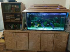 Aquarium and wooden furniture