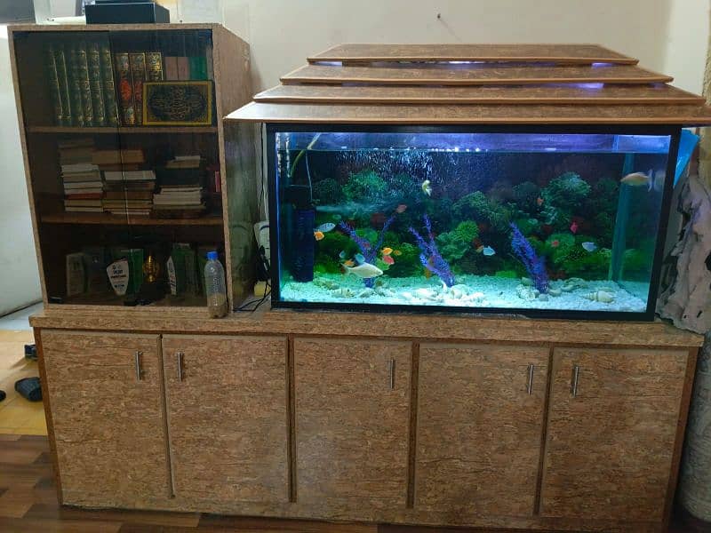 Aquarium and wooden furniture 0