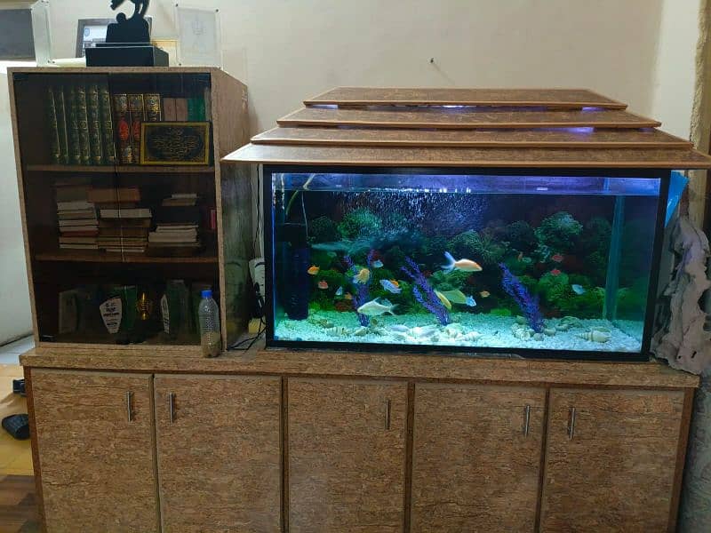 Aquarium and wooden furniture 1