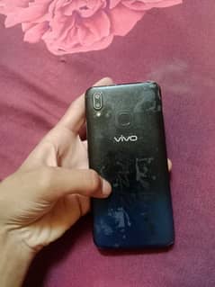 vivo