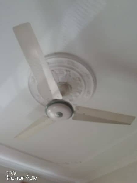 6 chilling fans in good condition 1