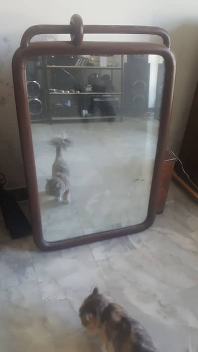 Mirror in shisham wood