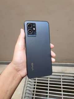 vivo