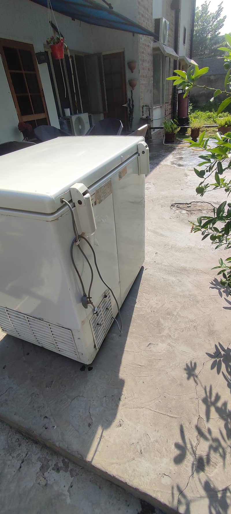 Pel Deep Freezer Superb Condition 2