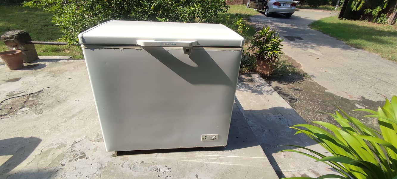 Pel Deep Freezer Superb Condition 5