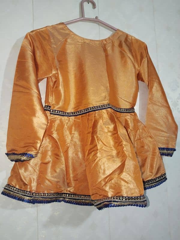 Heavy Formal lehnga choli 5