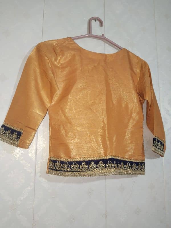 Heavy Formal lehnga choli 6