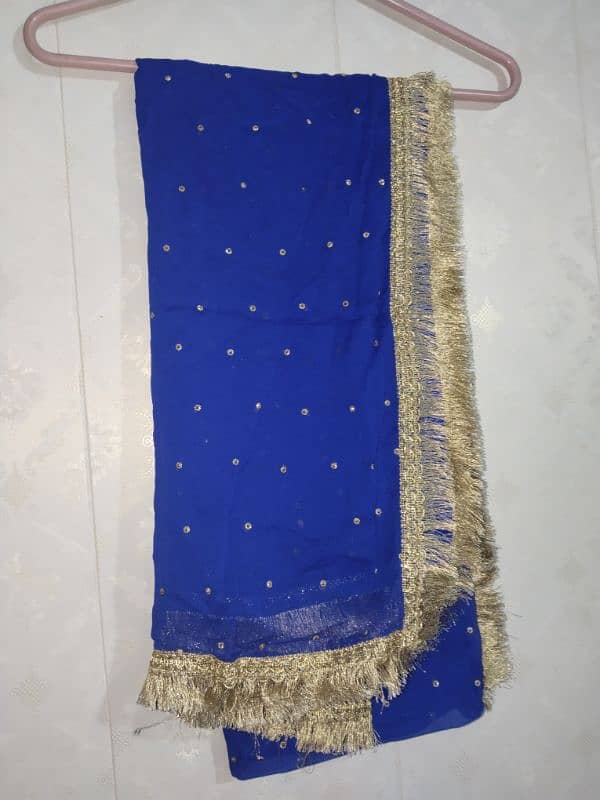 Heavy Formal lehnga choli 7