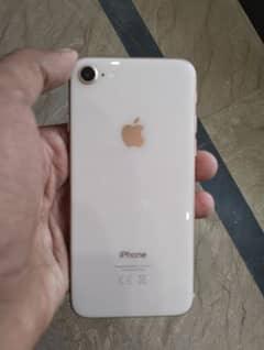 iPhone 8