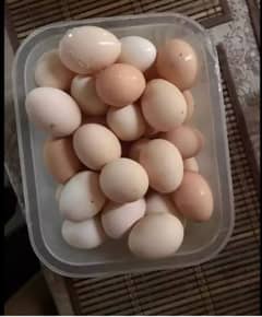 pure Desi Fresh Eggs