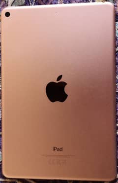 ipad mini 5