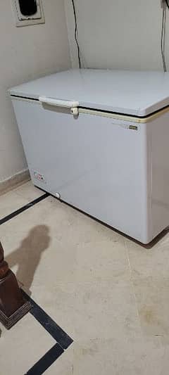 Intercool Japanese Freezer