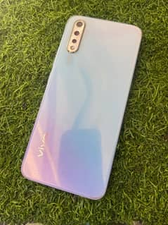 vivo