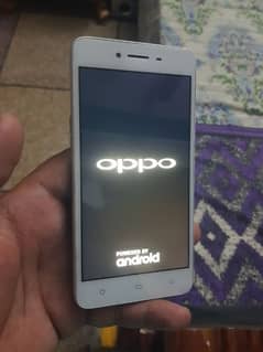 Oppo A37 Golden