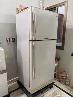 PEL Fridge