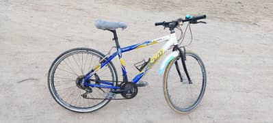 sport cycle