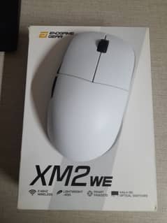 Endgame Gear xm2we Wireless Gaming Mouse