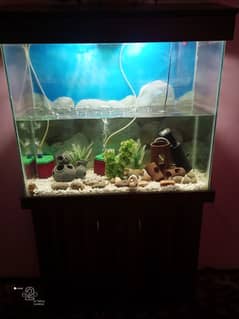 Fish Aquarium for Sale