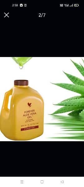 Aloe Vera gel 1