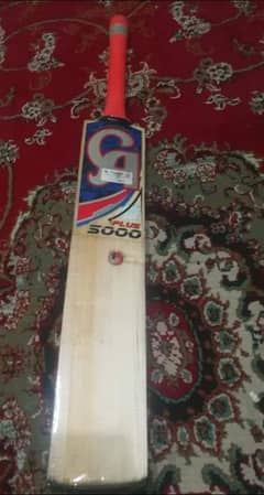 ca 5000 plus english willow hard ball cricket bat