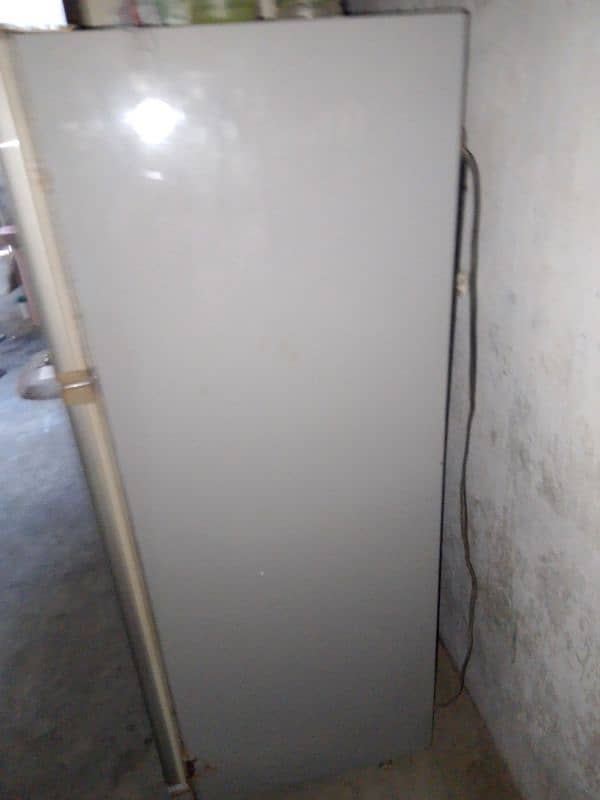 SG Refrigerator "60×24" inches 1