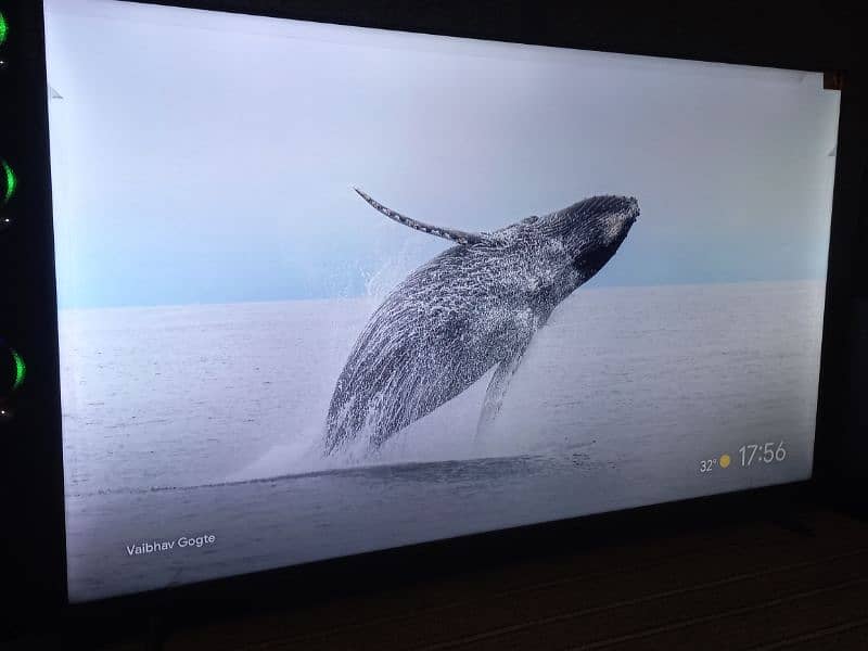 55" TCL led Brand New 3