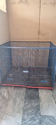 cages for birds