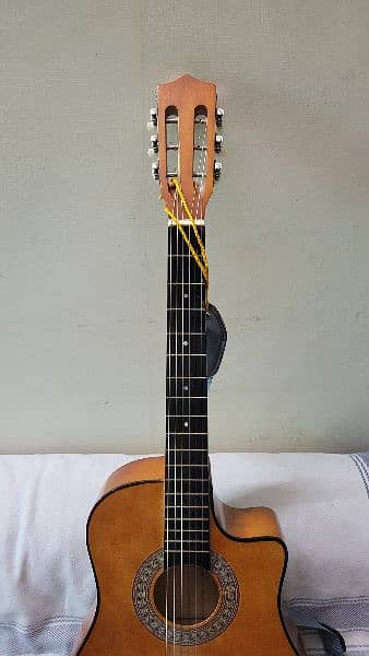 Student Guitar 1