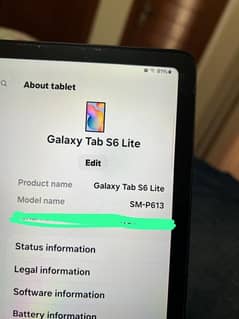 tab s6 lite