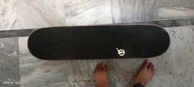 imported skate board