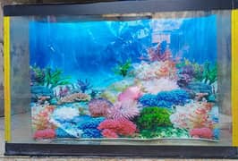 Used Aquarium with Havy Glass