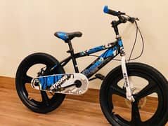 Kids Cycle 20 inch