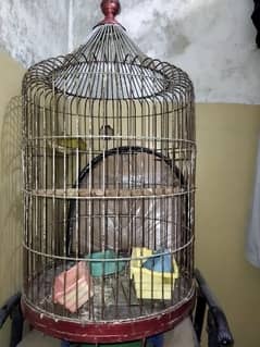 cages for sale