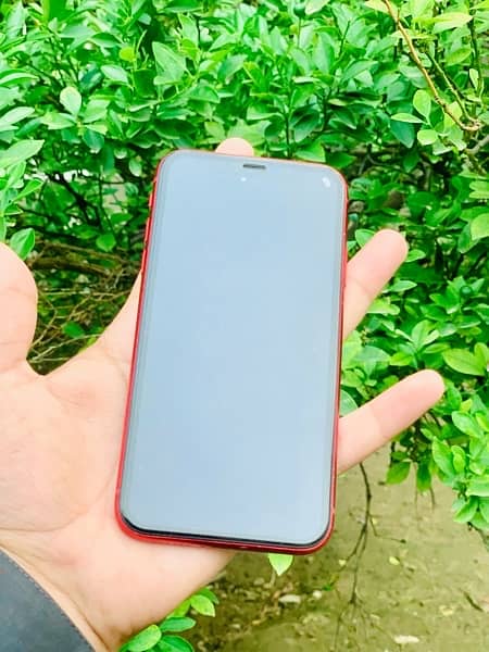 iphone xr 1