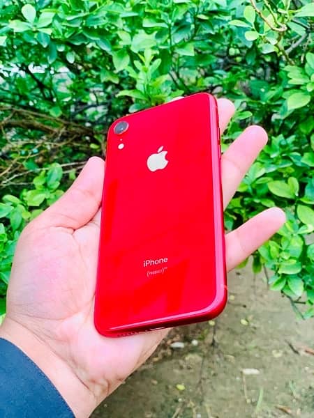 iphone xr 4