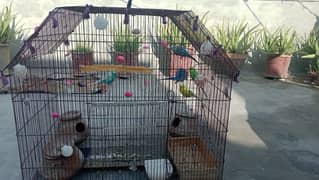 birds cage