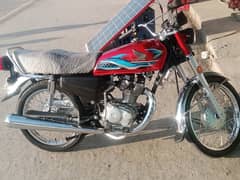 Honda 125 23/24