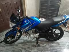 Yamaha YBR 125 2016