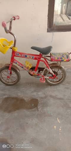 kid bicycle