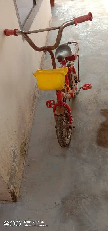 kid bicycle 2