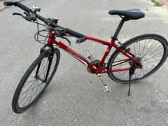 Momentum Hybrid Bicycle