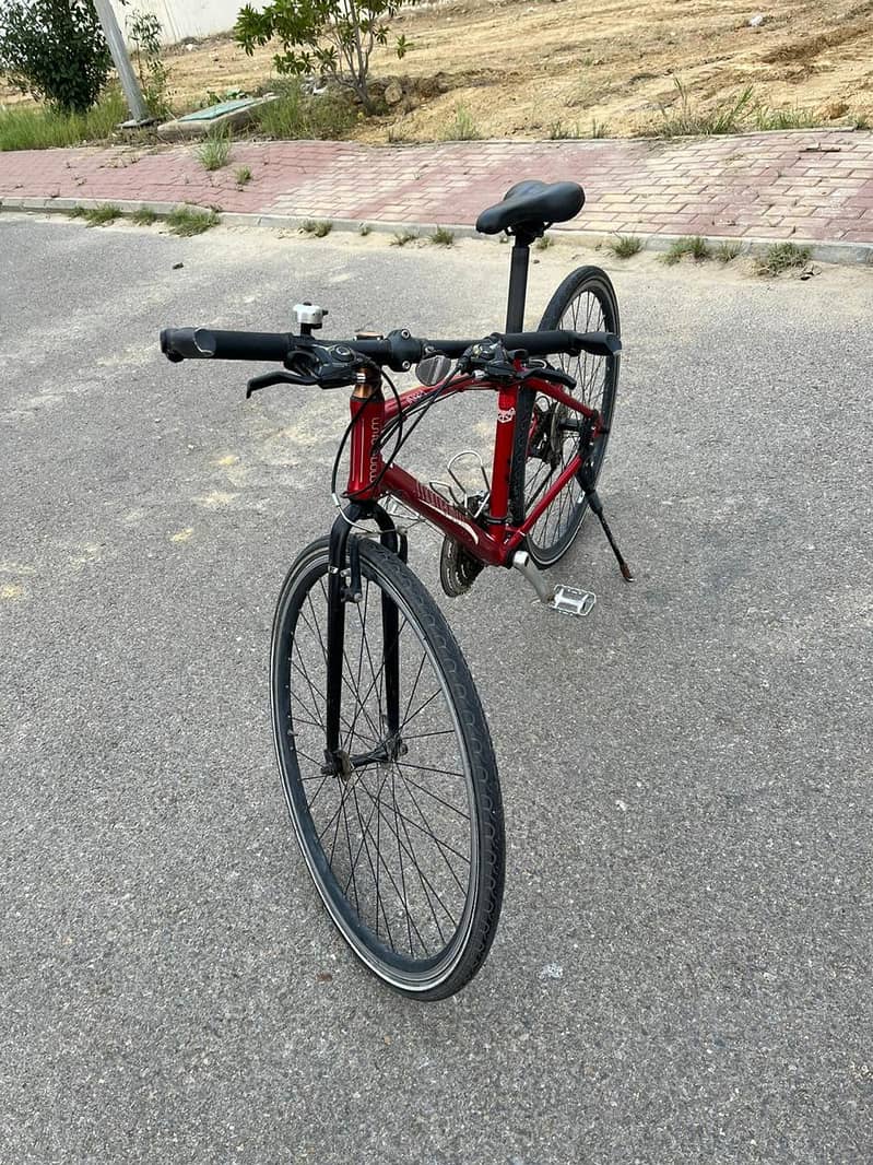 Momentum Hybrid Bicycle 1